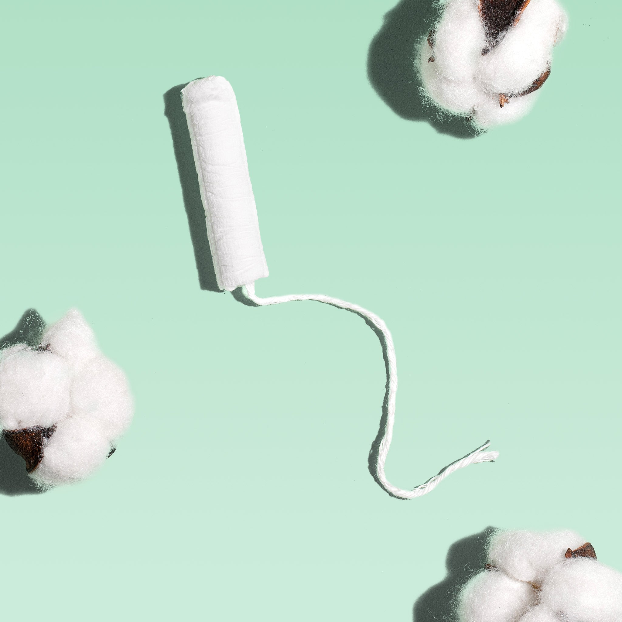 Super Cardboard Applicator Tampons Made With Organic Cotton C4
