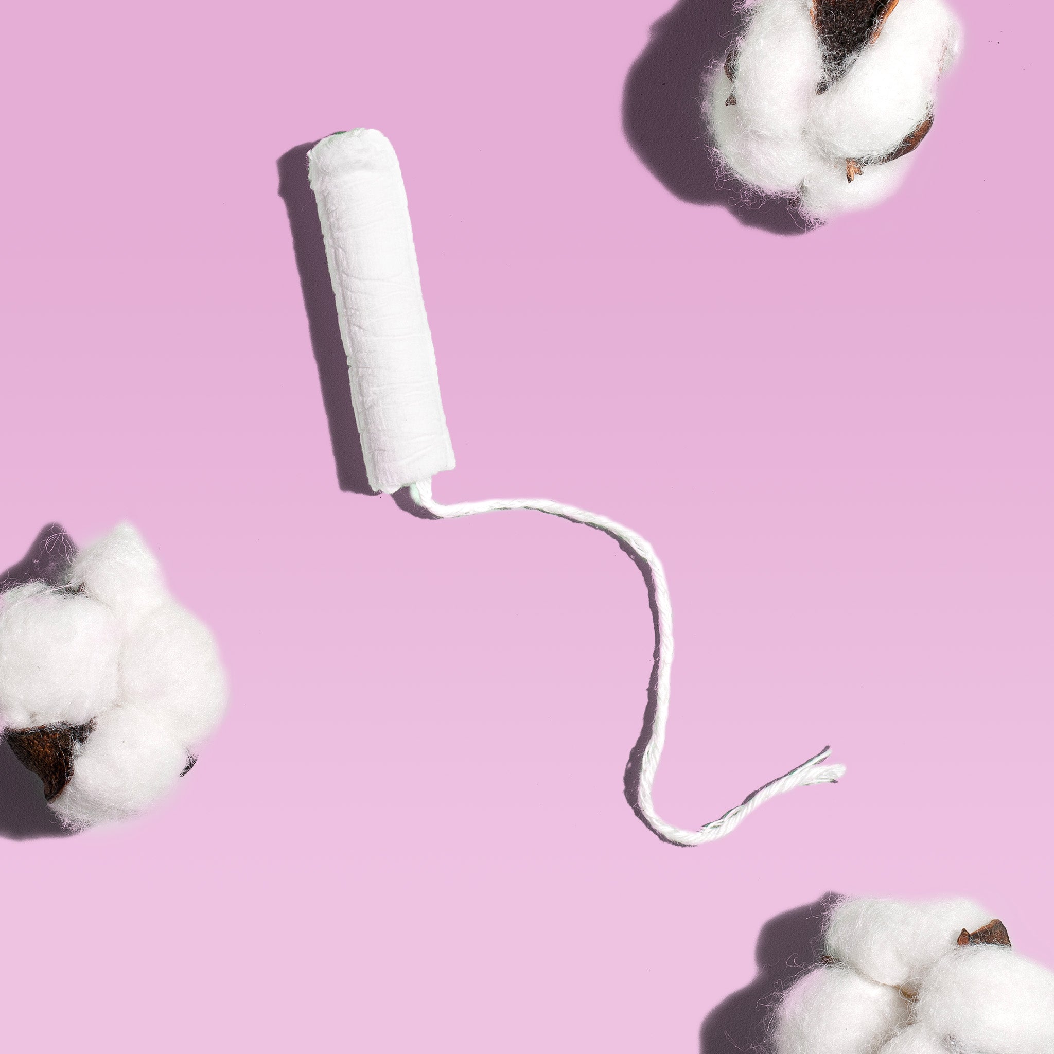 Regular Compact Tampons Made With Organic Cotton Q4
